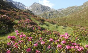 Bergtour Althaus - Villponer Alm